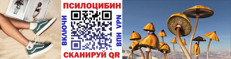 Галлюциногенные грибы мухоморы  Рошаль 