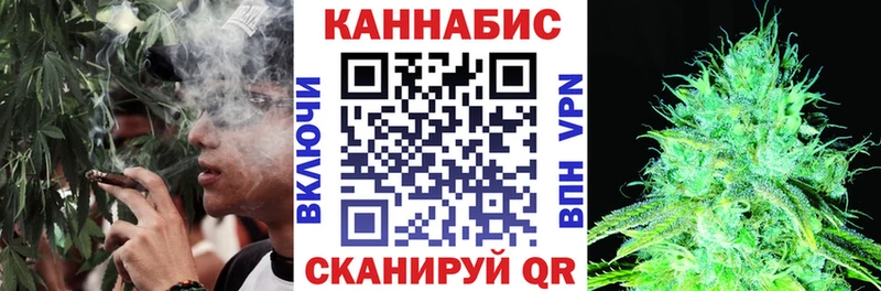 Марихуана сатива  Рошаль 